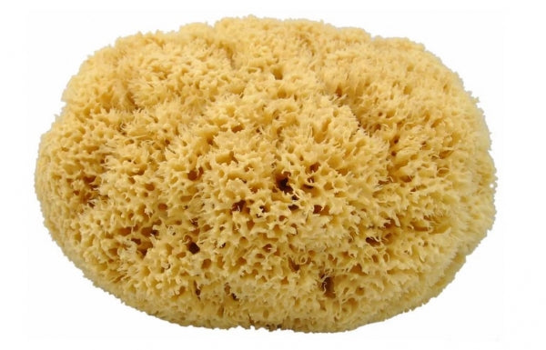 Naturschwamm